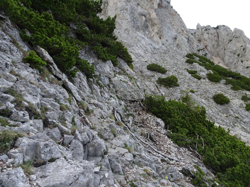 Hiking/Climbing along the "Preinerwand-Steig"