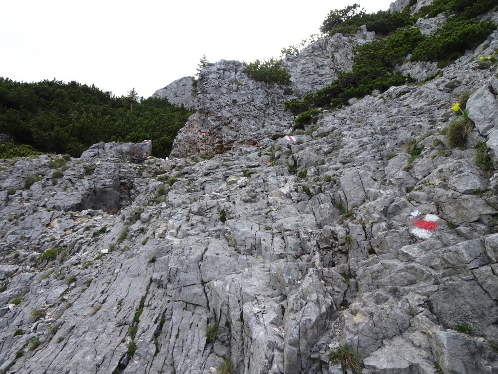 Climbing up "Preinerwand-Steig"