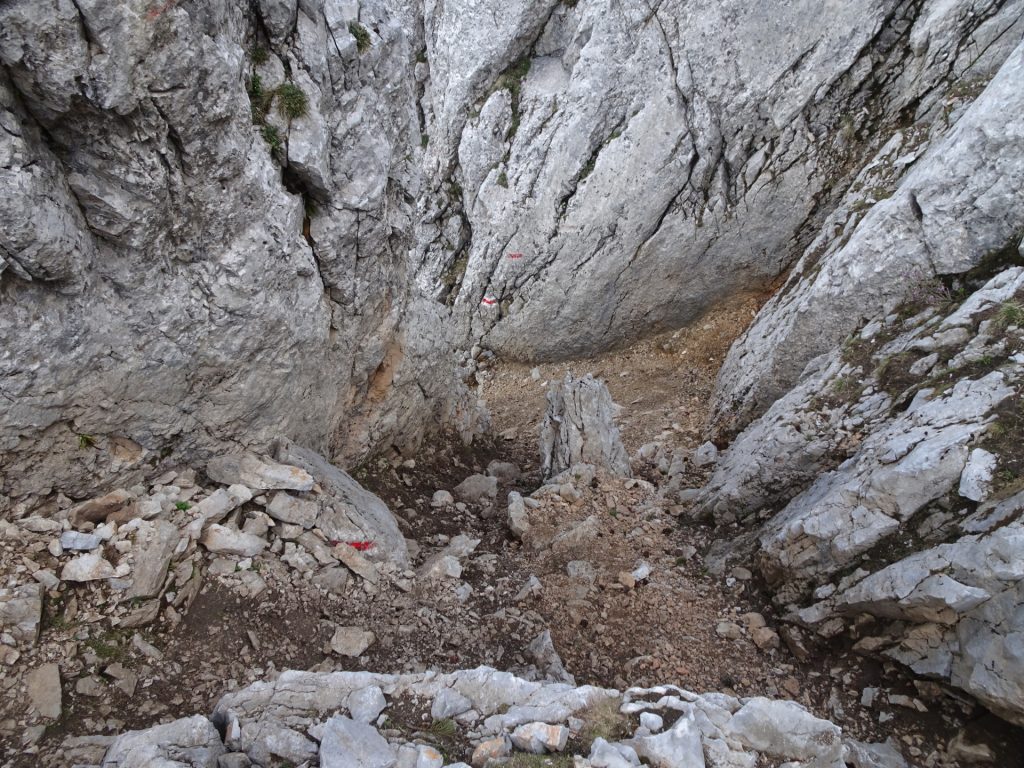 View downwards on the final climbing part of "Preinerwand-Steig"