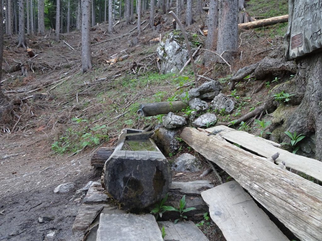 A short break at the "Bachingerbründl" spring