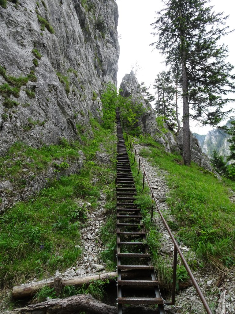 The "Schönbrunnerstiege"