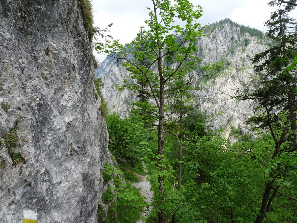 Trail into "Höllental"