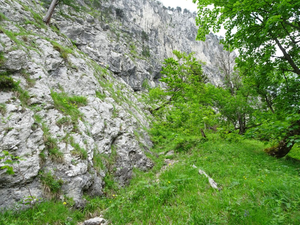 Trail along the wall