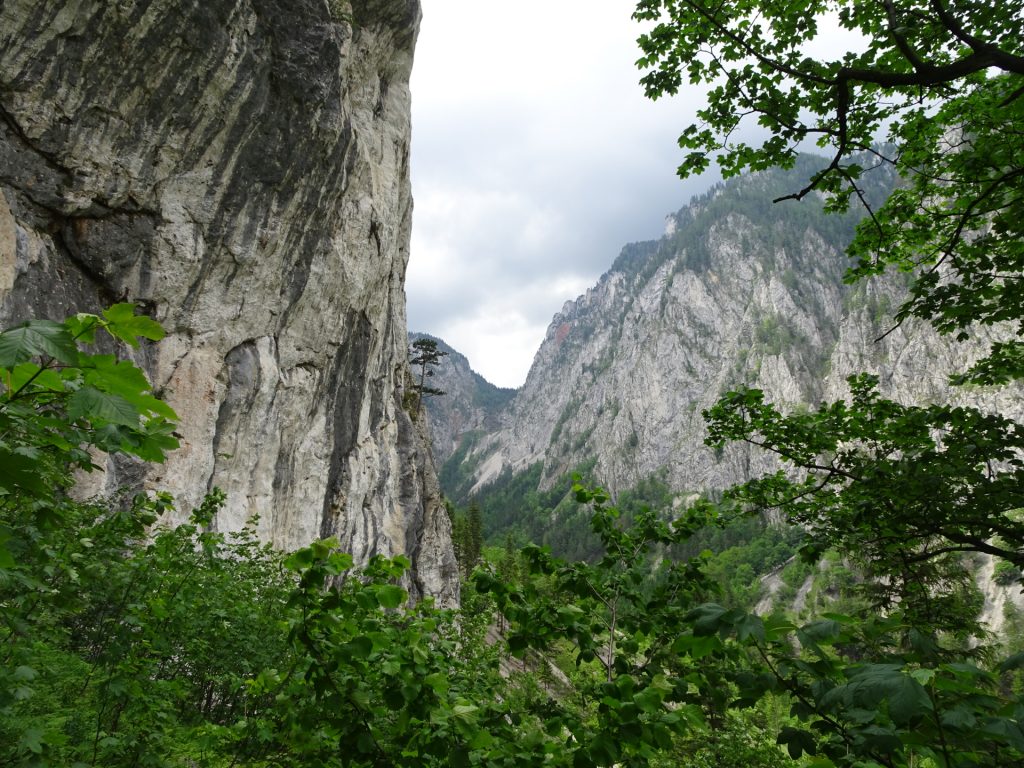 On the trail next to the wall