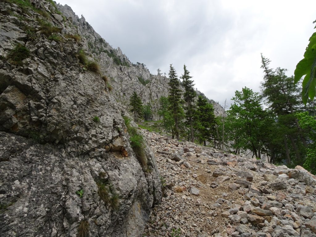 Slippery trail through the scree fields