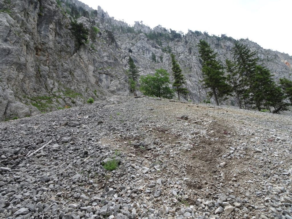 Hiking up through the slippery scree field