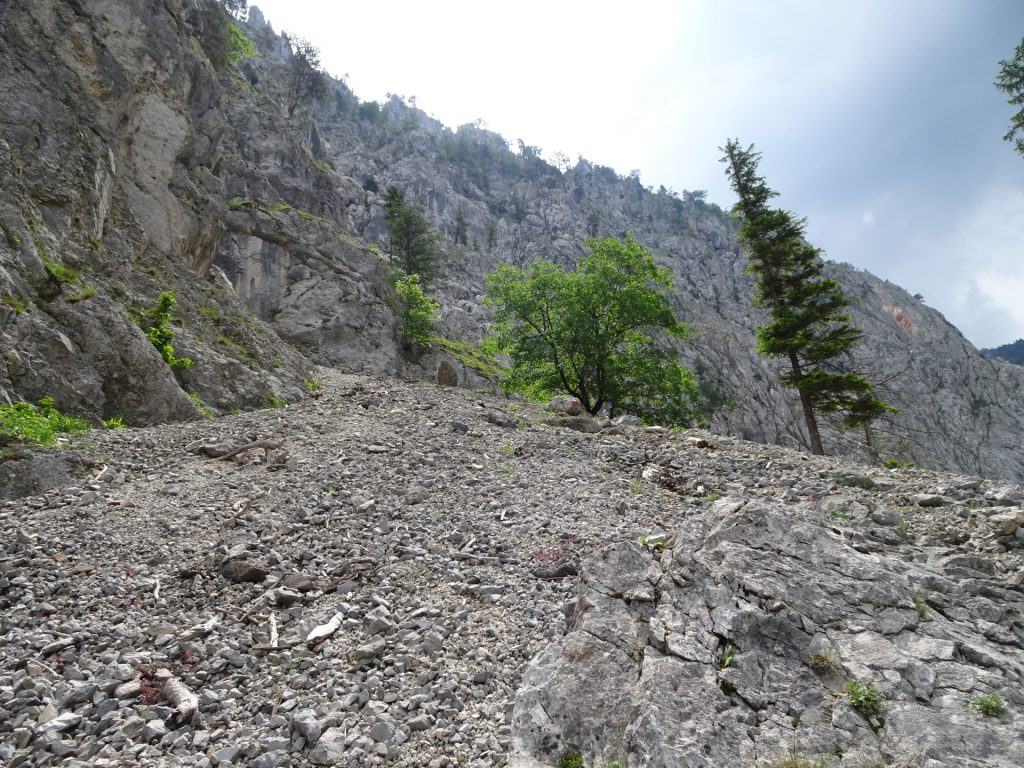 On the slippery scree field