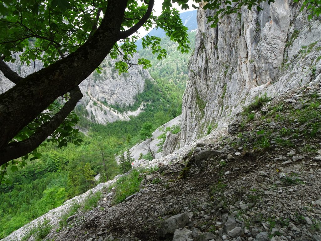 View back into the "Höllental"