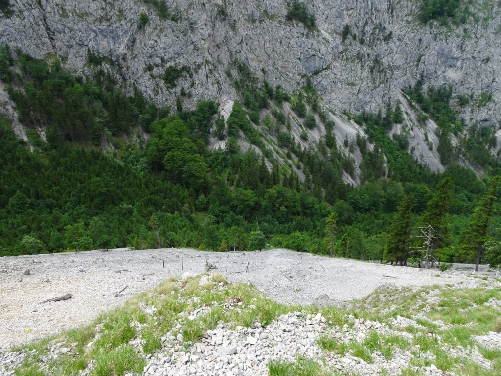 View down from the scree field