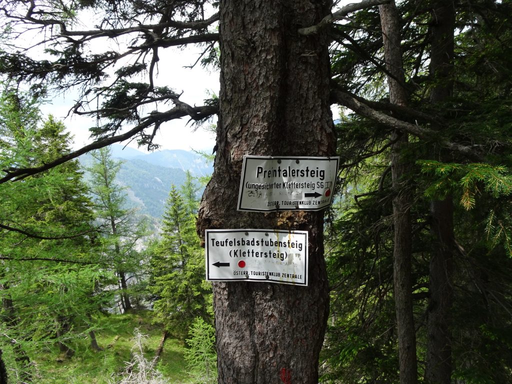 Crossing of "Preintalersteig" and "Teufelsbadstubensteig"