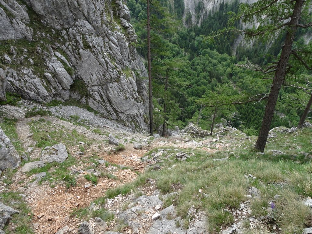 Descending via "Teufelsbadstubensteig"