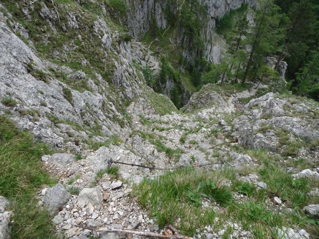 Descending via "Teufelsbadstubensteig"