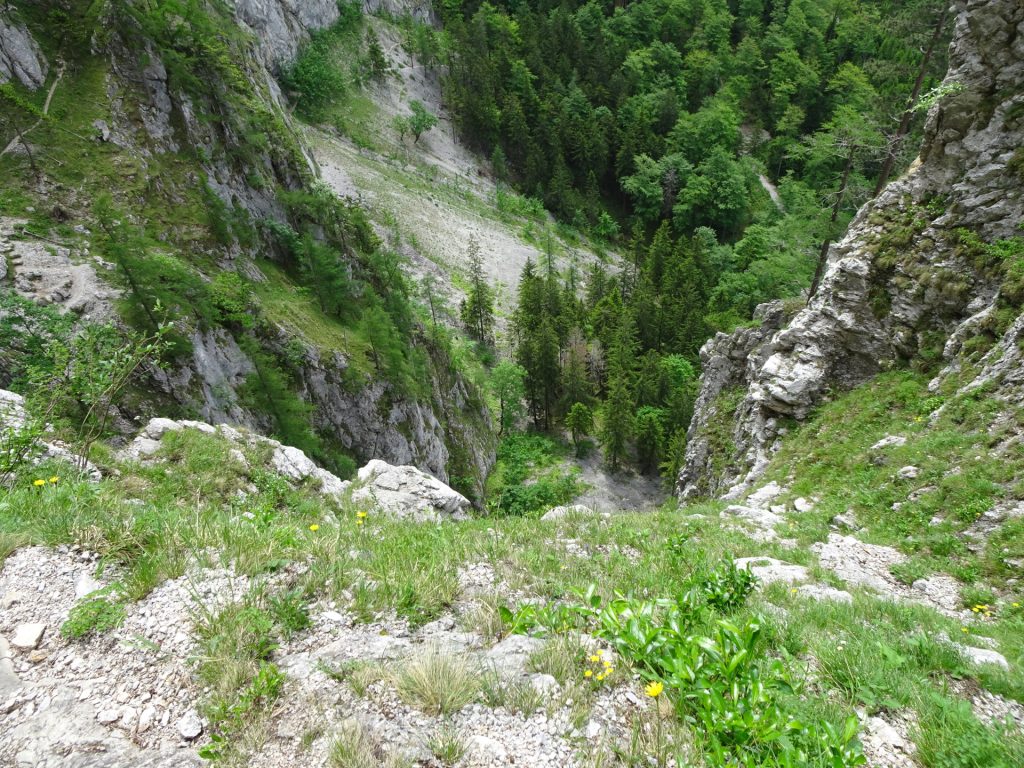 View from "Teufelsbadstubensteig"