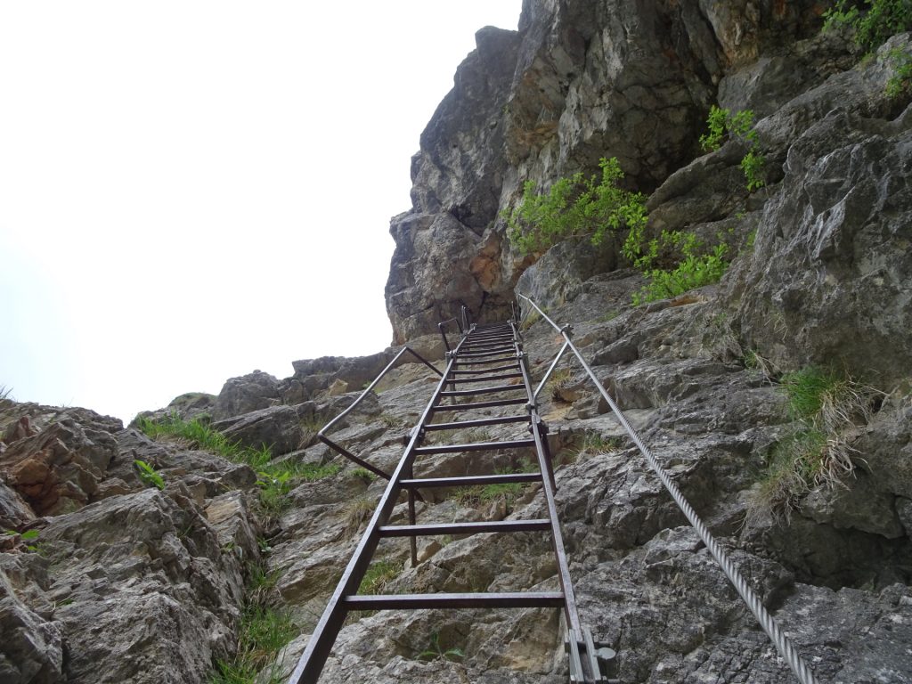 The iron ladder into the cave of "Teufelsbadstubensteig"
