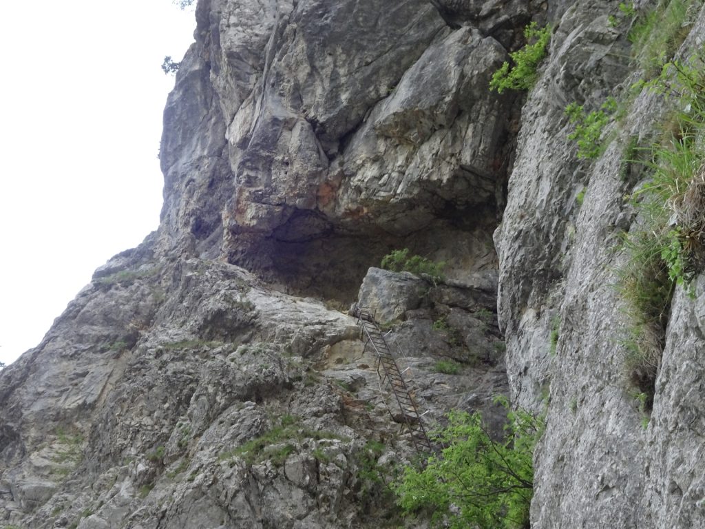 View back on the ladder into the cave