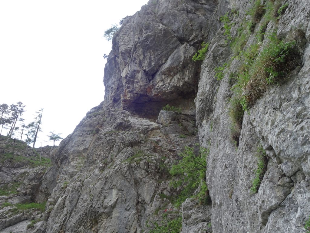 View back on the ladder into the cave