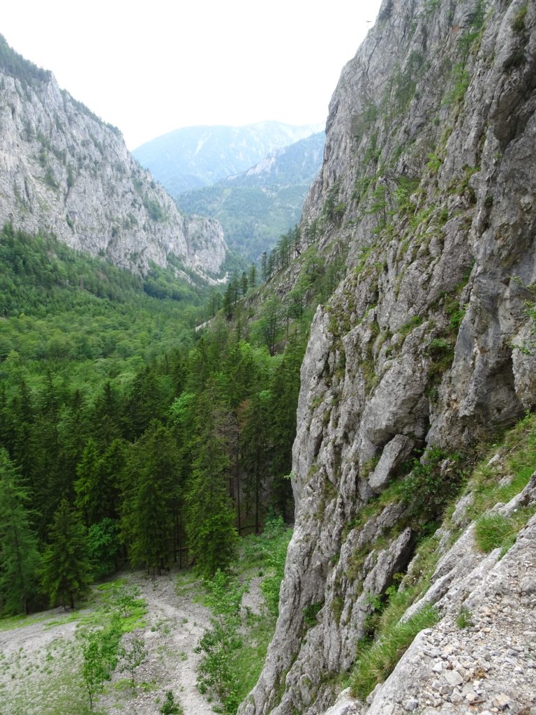 View from "Teufelsbadstubensteig"