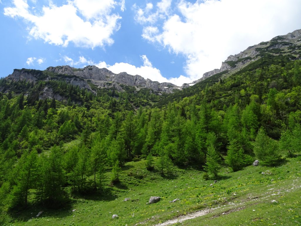 View towards "Rax" from "Siebenbrunnenwiese"