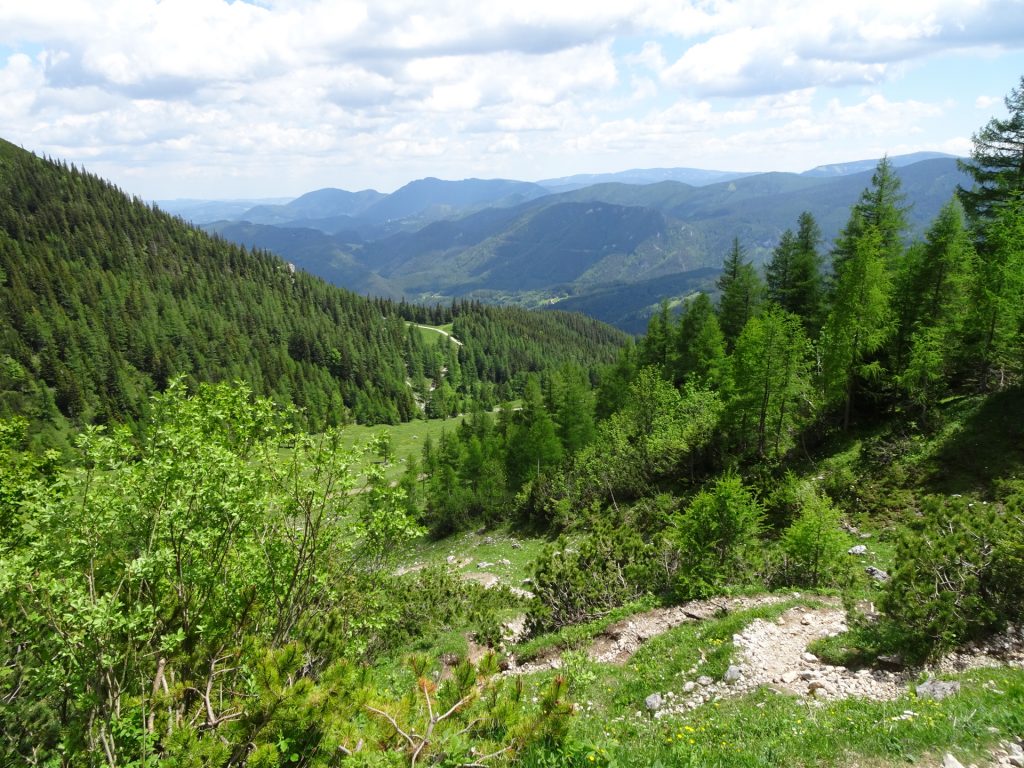 First meters on the "Schlangenweg"