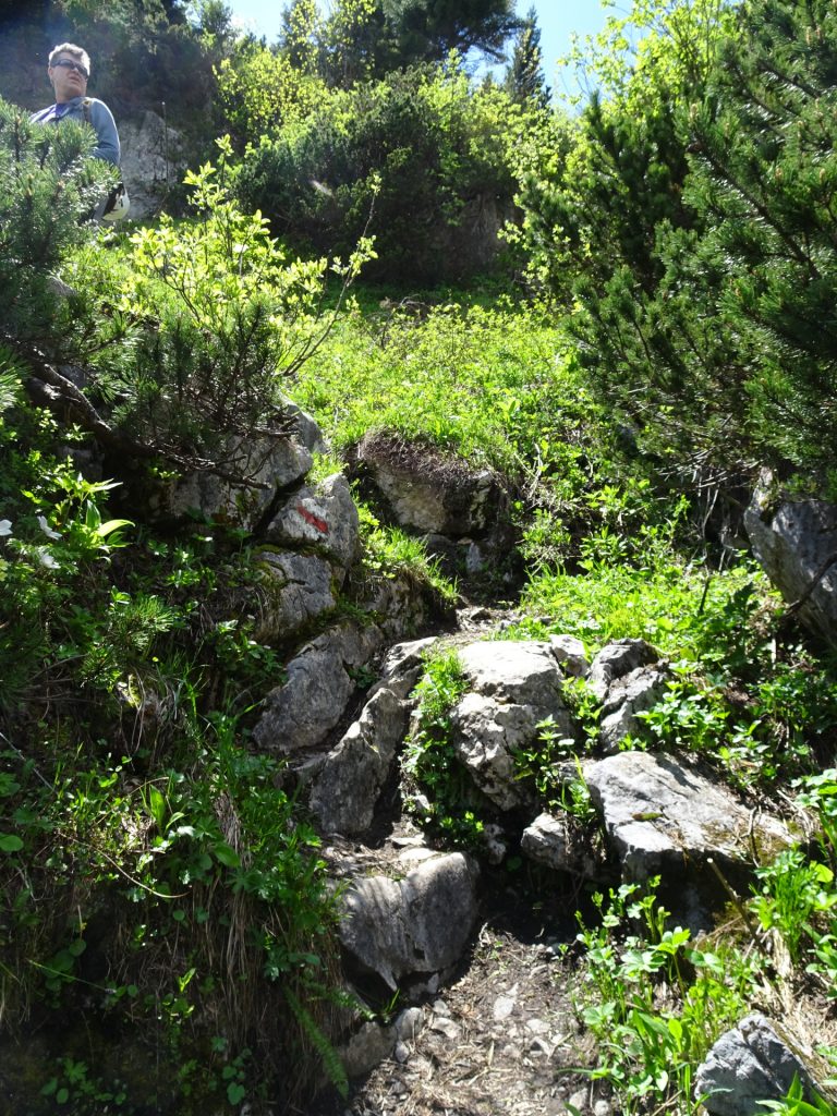 Follow the white-red-white markings towards "Karl Kantner Steig"