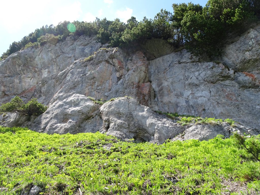 Climbing area at "Karl Kantner Steig"