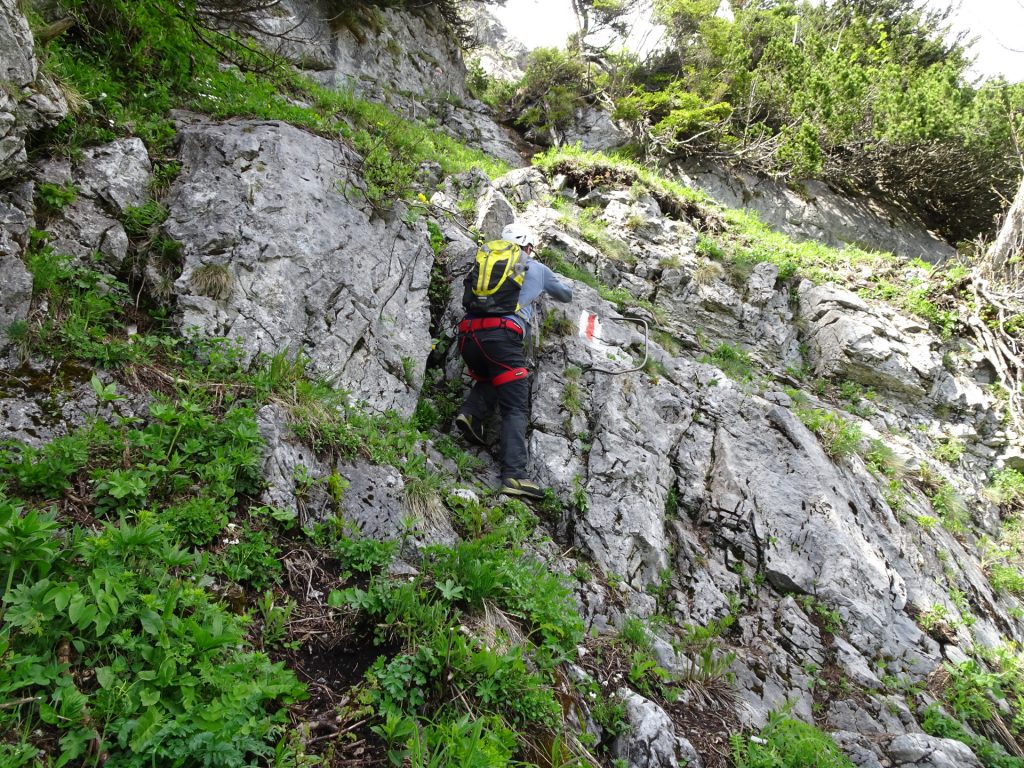 Robert climbs up the first meters of "Karl Kantner Steig" (A/B)