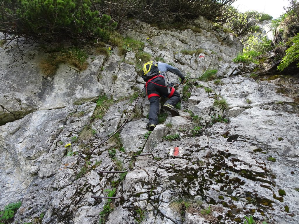 Robert climbs up the first passage of "Karl Kantner Steig" (A/B)