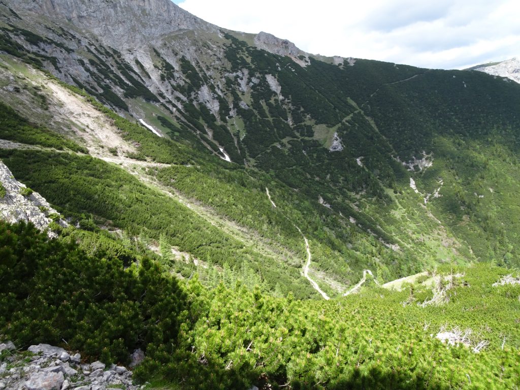 View down to the "Schlangenweg" from "Karl Kantner Steig"