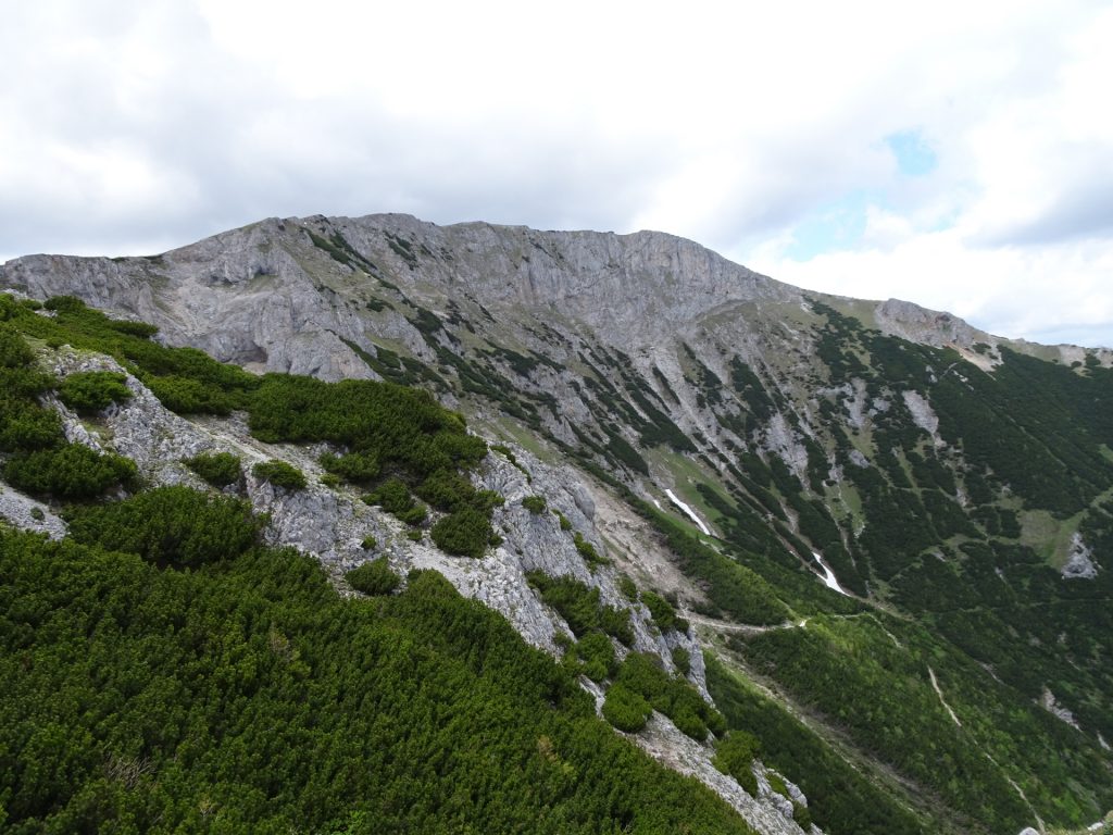 View towards "Predigtstuhl" from "Karl Kantner Steig"