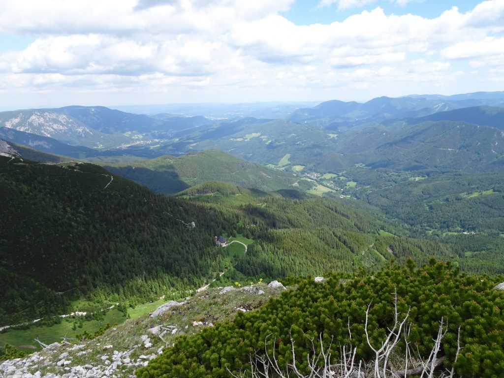 View from "Karl Kantner Steig"