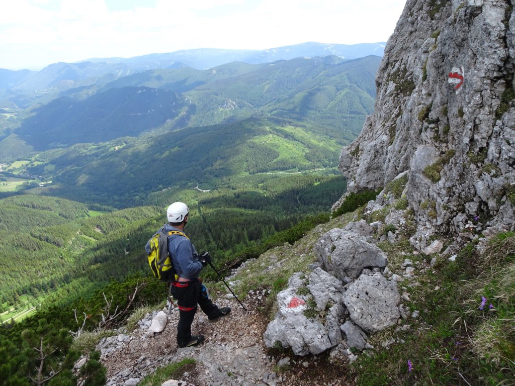 Robert enjoys the view from the trail