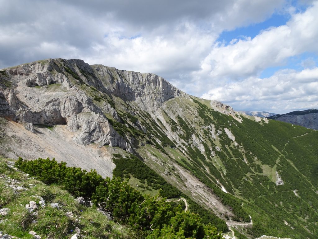 View towards "Predigtstuhl" from "Schlangenweg"