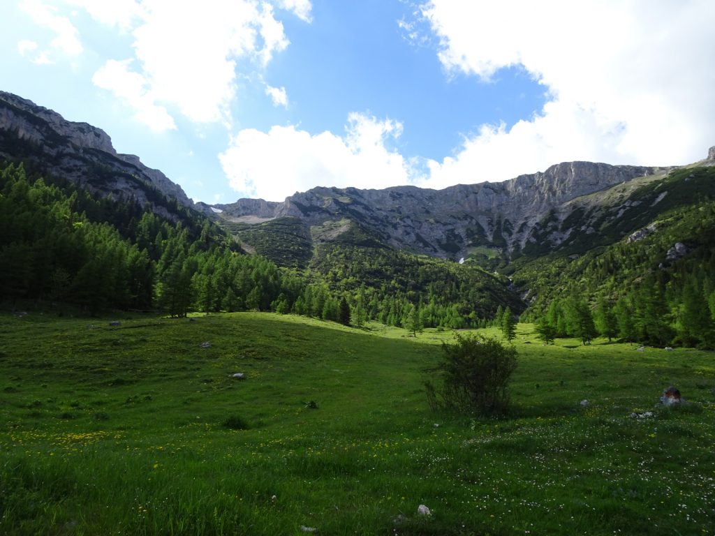 View back from "Siebenbrunnenwiese"