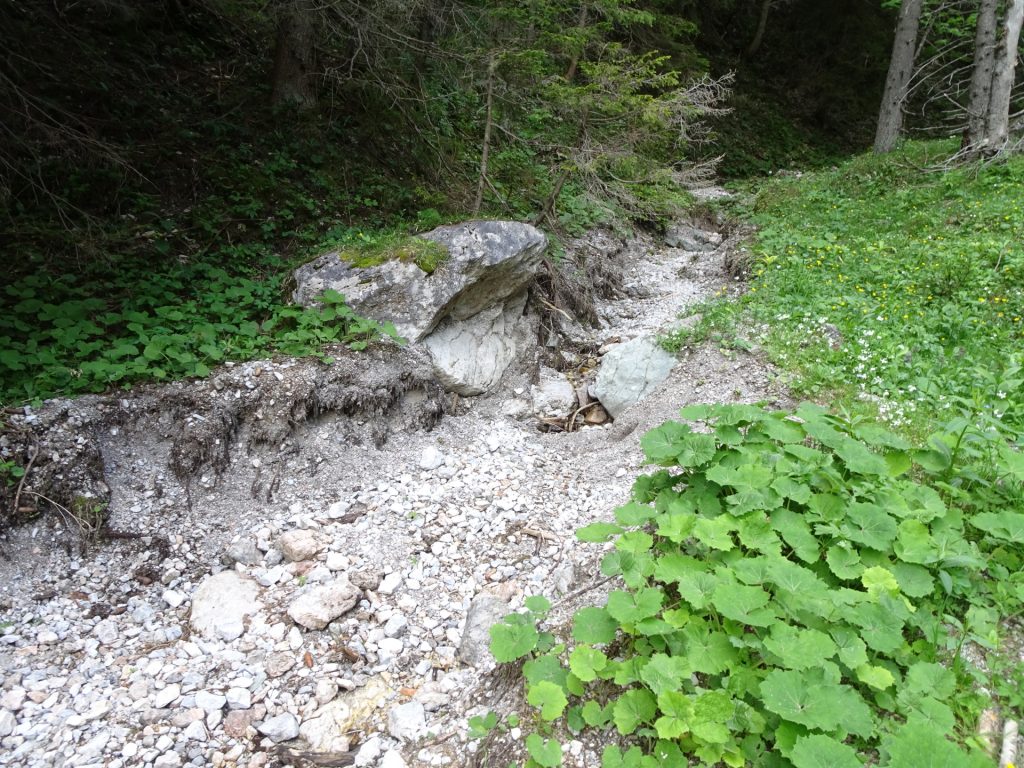 Trail back towards the parking