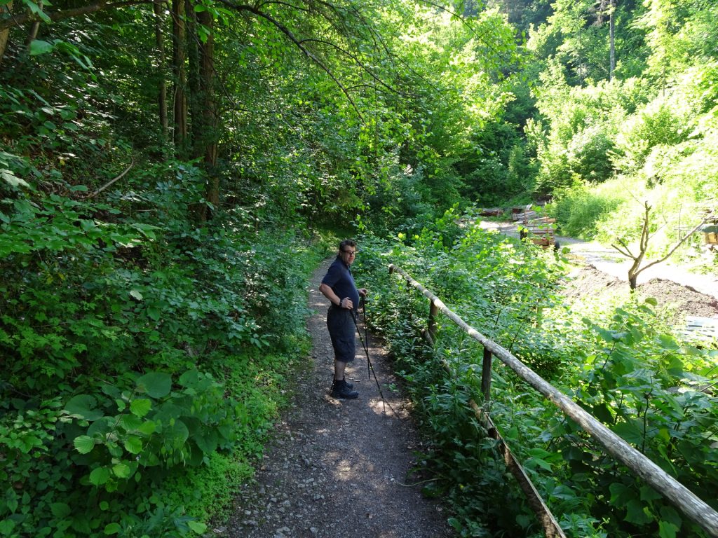 Robert on the trail towards "Steinwandklamm"