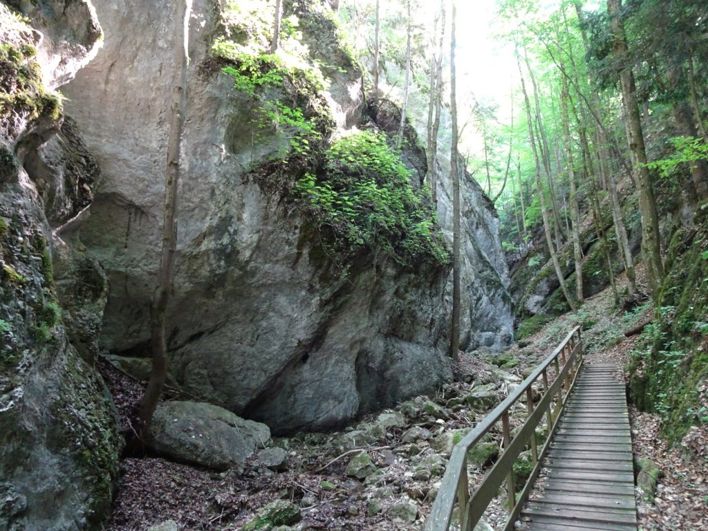 Hiking through "Steinwandklamm"