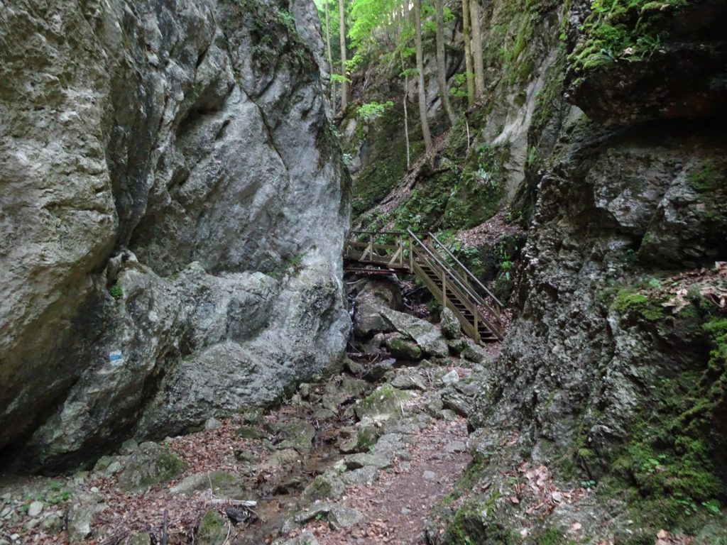 Inside "Steinwandklamm"