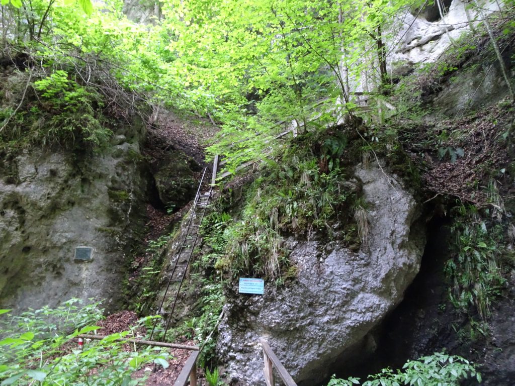 On the bridge towards "Rudolf-Decker-Steig"