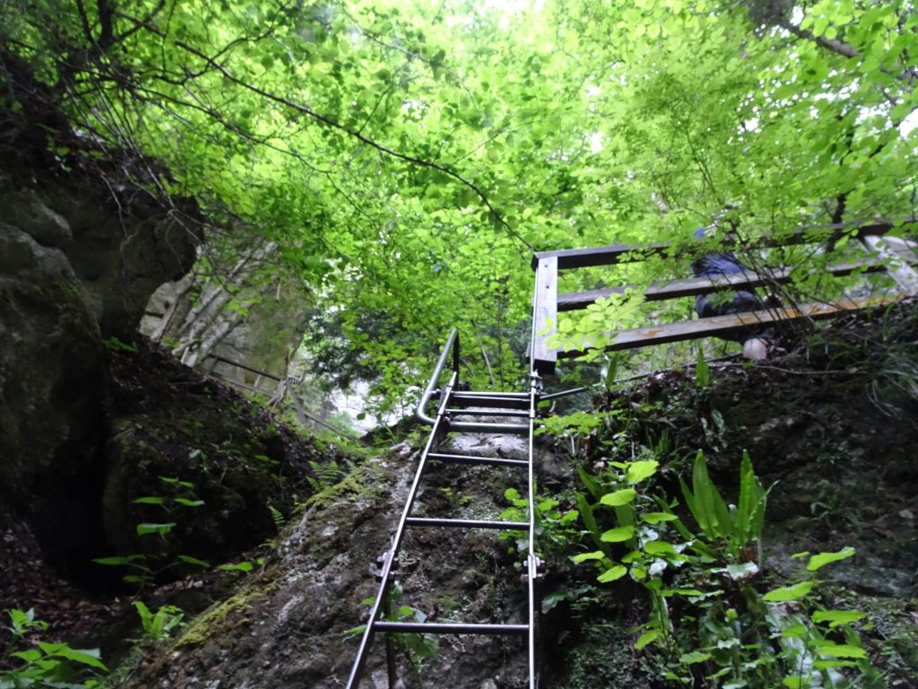 Hiking up the first ladder of "Rudolf-Decker-Steig"