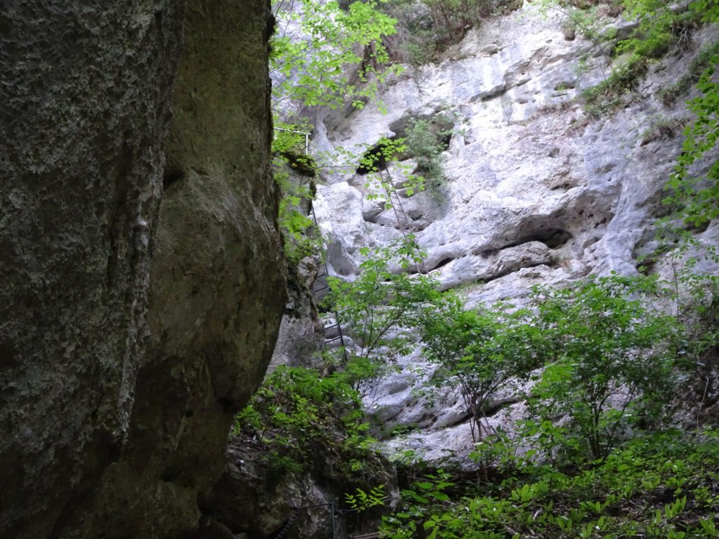 Towards the crux (long ladder)