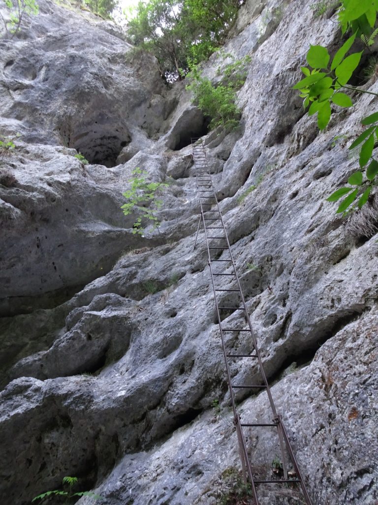 The long ladder (crux) of "Rudolf-Decker-Steig"