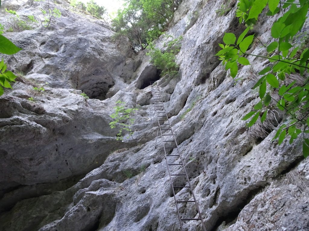 The long ladder (crux) of "Rudolf-Decker-Steig" leading into the cave