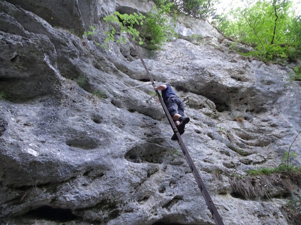 Robert climbs first