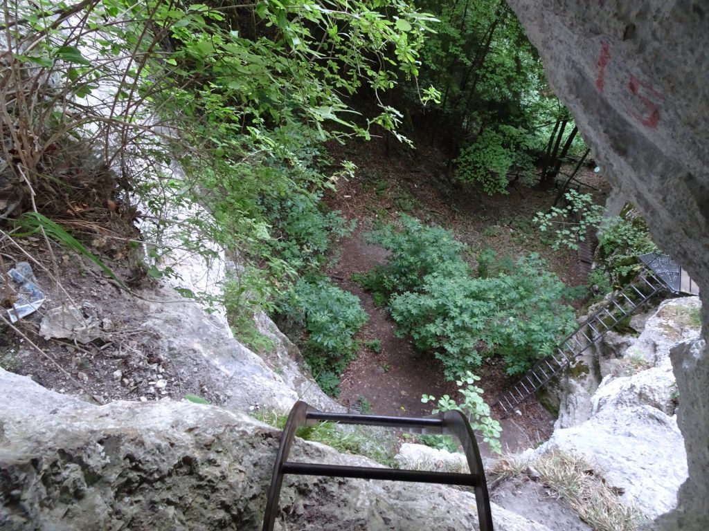 View from the end of the ladder (inside the cave)