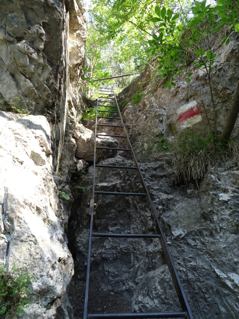 Another ladder of "Rudolf-Decker-Steig"