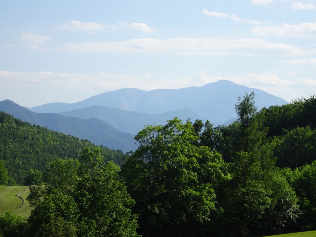 The "Schneeberg" seen from the trail