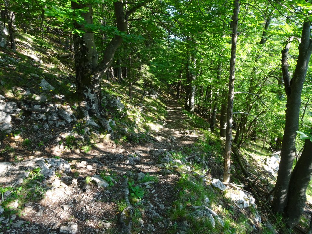 Trail towards "Myrafälle"