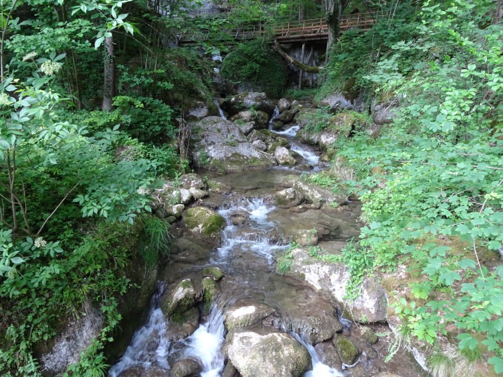 Hiking up the "Myrafälle"