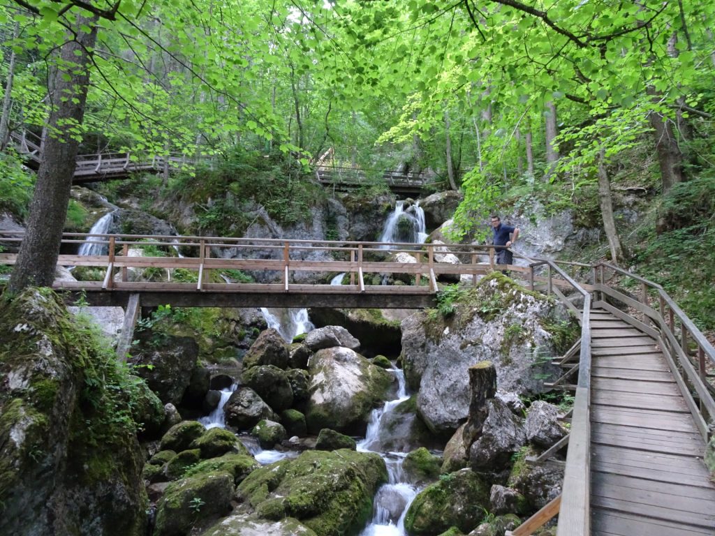 Robert is impressed from the waterfalls of "Myrafälle"