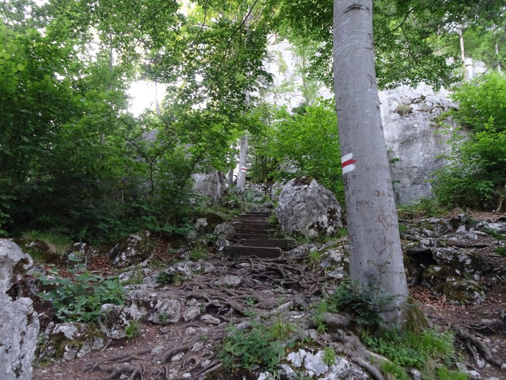 On the trail towards "Hausstein"